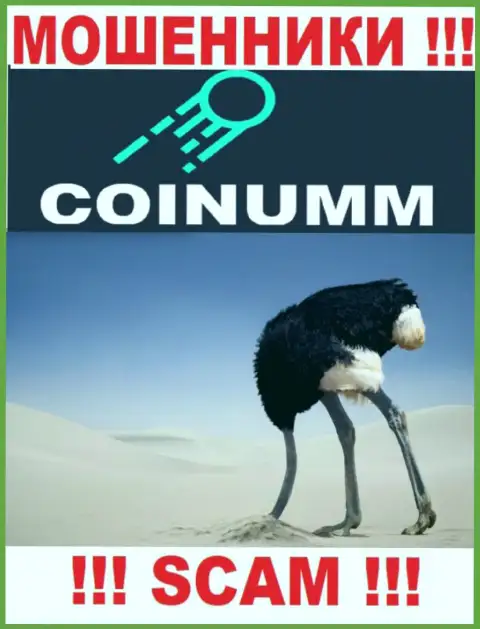 Компания Coinumm Com не имеет регулятора и лицензионного документа на осуществление деятельности