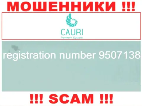 Номер регистрации, который принадлежит незаконно действующей компании Каури - 9507138