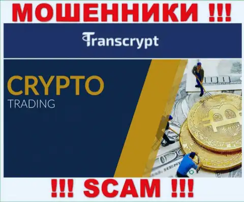 ТрансКрипт - это мошенники !!! Сфера деятельности которых - Crypto trading
