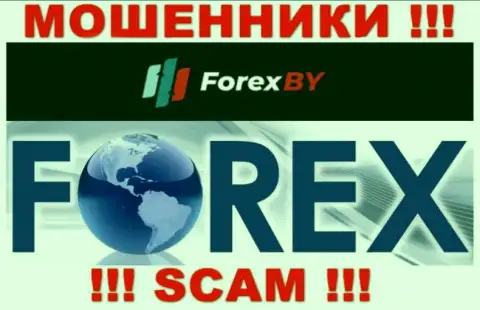 Будьте осторожны, вид деятельности Forex BY, Форекс - это надувательство !