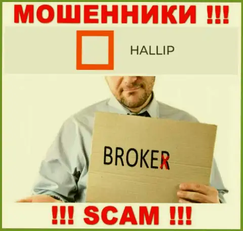 Тип деятельности интернет-мошенников Hallip - это Брокер, но имейте ввиду это обман !
