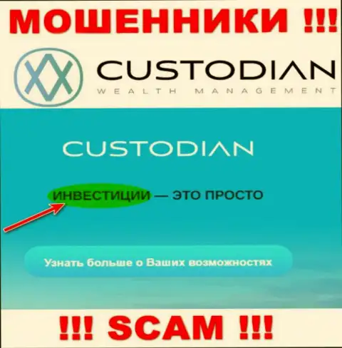 Слишком опасно работать с internet-жуликами Custodian Ru, сфера деятельности которых Инвестиции