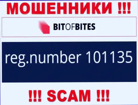 Регистрационный номер организации Bit Of Bites, который они засветили у себя на интернет-портале: 101135