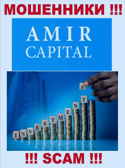 Не переводите финансовые средства в АмирКапитал, род деятельности которых - Инвестирование