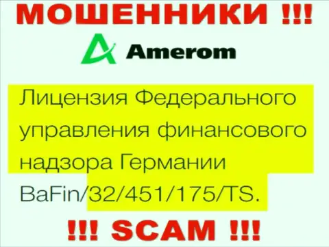 На web-сервисе Amerom размещена их лицензия, но это коварные мошенники - не надо верить им