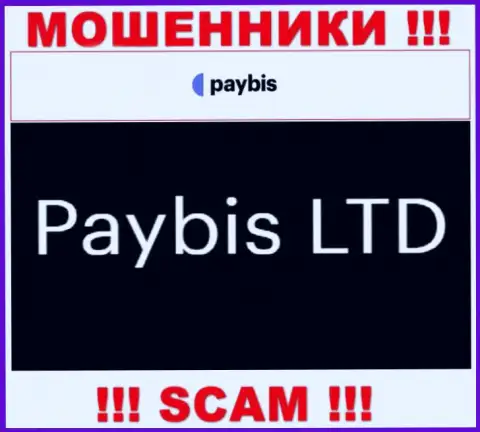 ПэйБис Лтд руководит организацией PayBis Com - это МОШЕННИКИ !!!