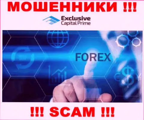 Forex - это направление деятельности неправомерно действующей компании Exclusive Capital