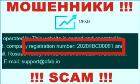 Номер регистрации, который принадлежит организации OFXB - 2020/IBC00061