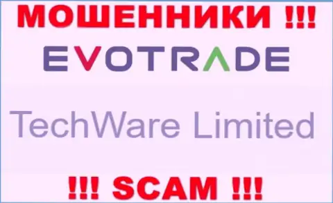 Юридическим лицом ЕвоТрейд Ком является - TechWare Limited