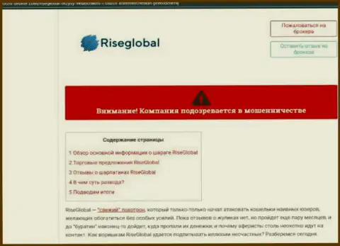 Подробно изучите предложения сотрудничества RiseGlobal, в организации лохотронят (обзор)