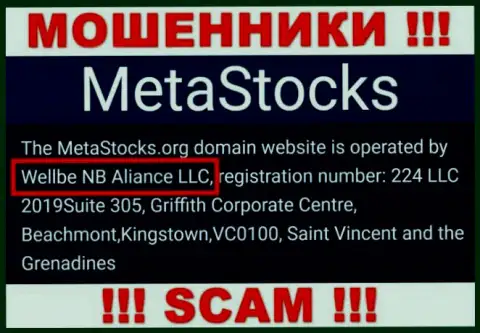 Юридическое лицо компании MetaStocks - это Wellbe NB Aliance LLC, информация позаимствована с официального сайта