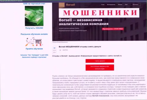 Обзор scam-компании Борселл - это ЖУЛИКИ !!!