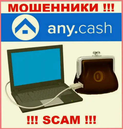 Any Cash - это МОШЕННИКИ, направление деятельности которых - Виртуальный кошелек
