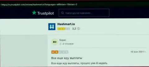 В собственном отзыве автор указывает на все очевидные признаки того, что HashMart - это АФЕРИСТЫ !!!
