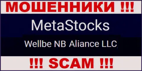 Юридическое лицо мошенников MetaStocks Co Uk - это Веллбе НБ Альянс ЛЛК