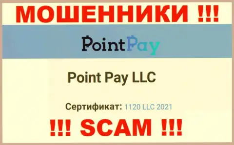 Регистрационный номер незаконно действующей организации PointPay Io - 1120 LLC 2021