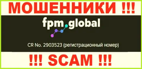 Во всемирной сети internet орудуют шулера FPM Global ! Их номер регистрации: 2903523