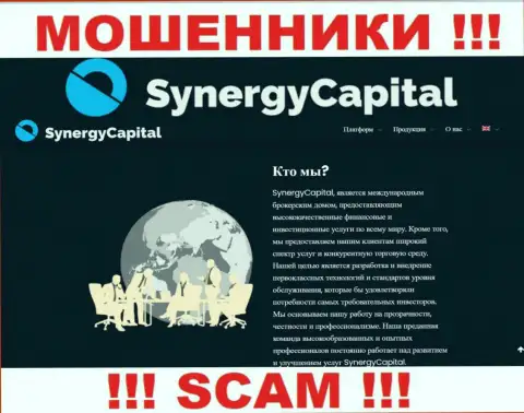Что касается рода деятельности Synergy Capital (Брокер) - это 100 % обман