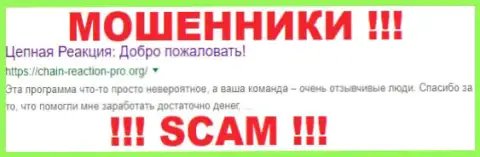 Chain-Reaction Pro - МОШЕННИКИ !!! SCAM !!!