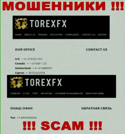 В запасе у интернет обманщиков из компании TorexFX припасен не один телефонный номер