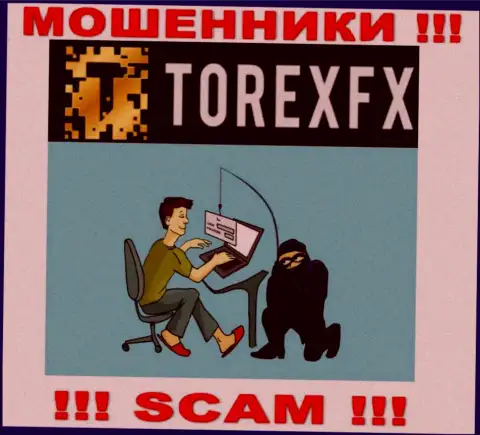 Мошенники TorexFX могут постараться раскрутить Вас на средства, но имейте в виду - это слишком опасно