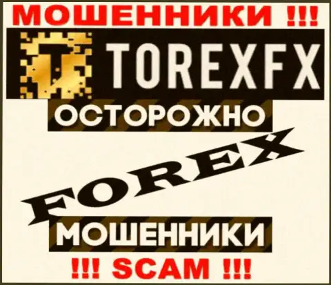 Тип деятельности TorexFX: Forex - отличный заработок для internet обманщиков